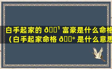 白手起家的 🌹 富豪是什么命格（白手起家命格 💮 是什么意思）